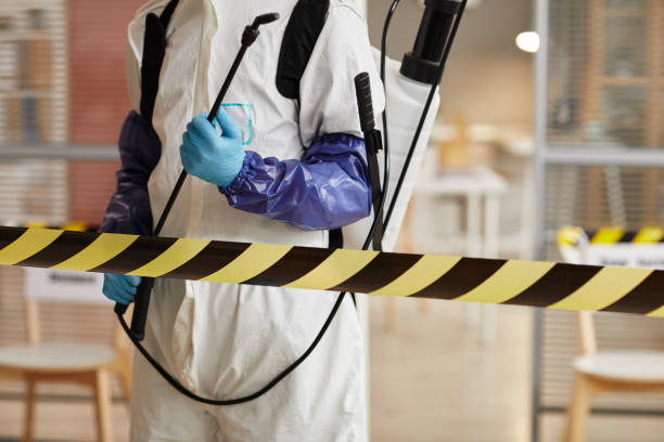 Professional Hoarding Cleanup technician working in Rockland, MA